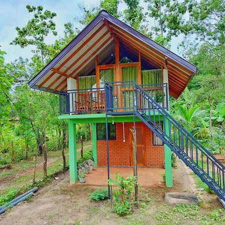 Sigiri Saat Cabana Sigiriya Exterior foto