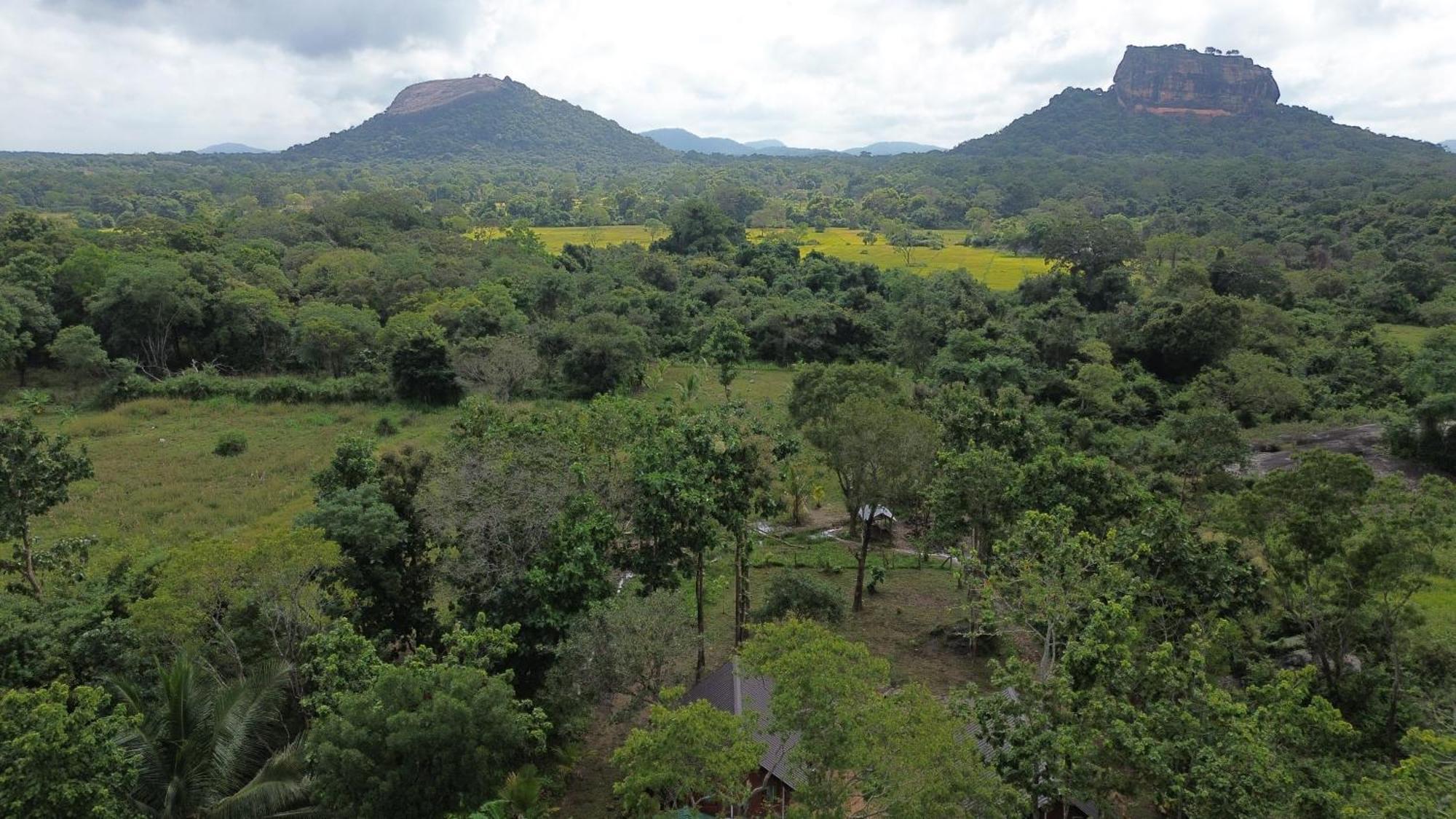 Sigiri Saat Cabana Sigiriya Exterior foto