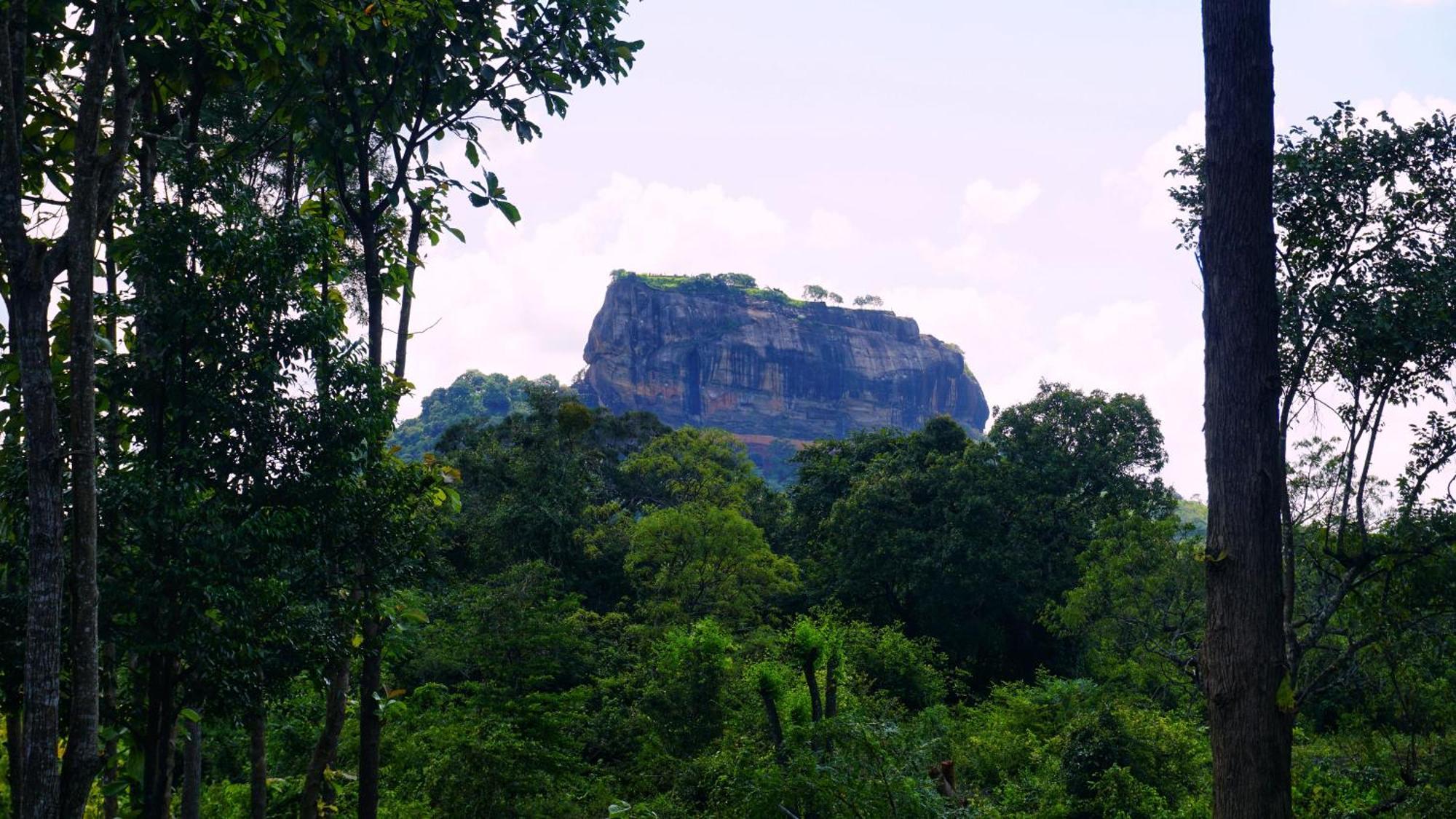 Sigiri Saat Cabana Sigiriya Exterior foto